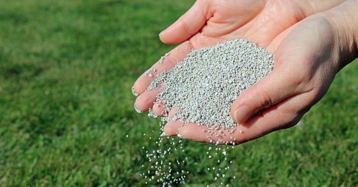 Çim Bakımı Görseli